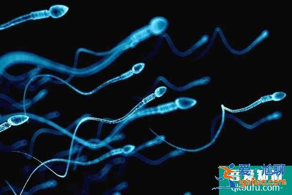试管婴儿技术如何助男性染色体客人生健康宝宝？？