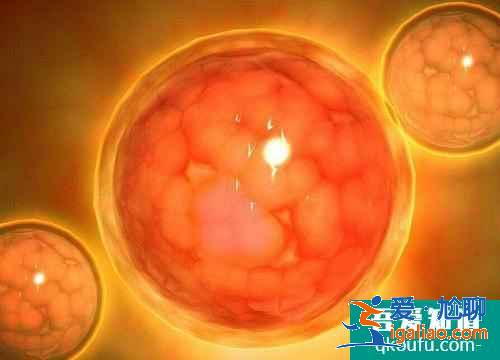 俄罗斯试管婴儿需要做哪些检查,资料表明：女性抽烟会影响生育能力？