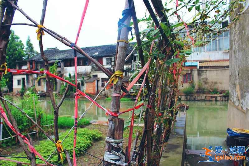 中秋节上海周边游，2018中秋上海周边旅游推荐？