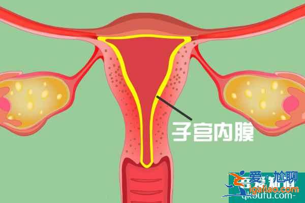 女性宫腔积水做试管婴儿的成功率有多高？？