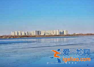 元旦不去哈尔滨，后悔一整年！？