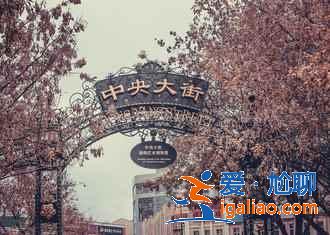 元旦不去哈尔滨，后悔一整年！？