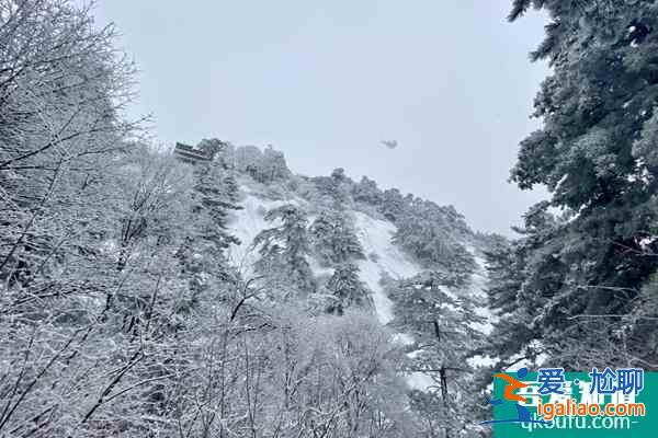 中国冬天哪里最美 这19个地方能体会真正的冬季美景？