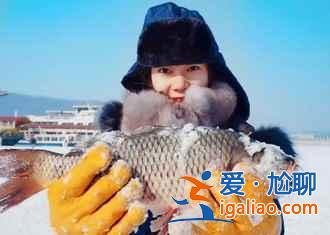 元旦去哈尔滨穿什么,元旦去哈尔滨温度? 元旦去哈尔滨穿什么,元旦去哈尔滨温度?