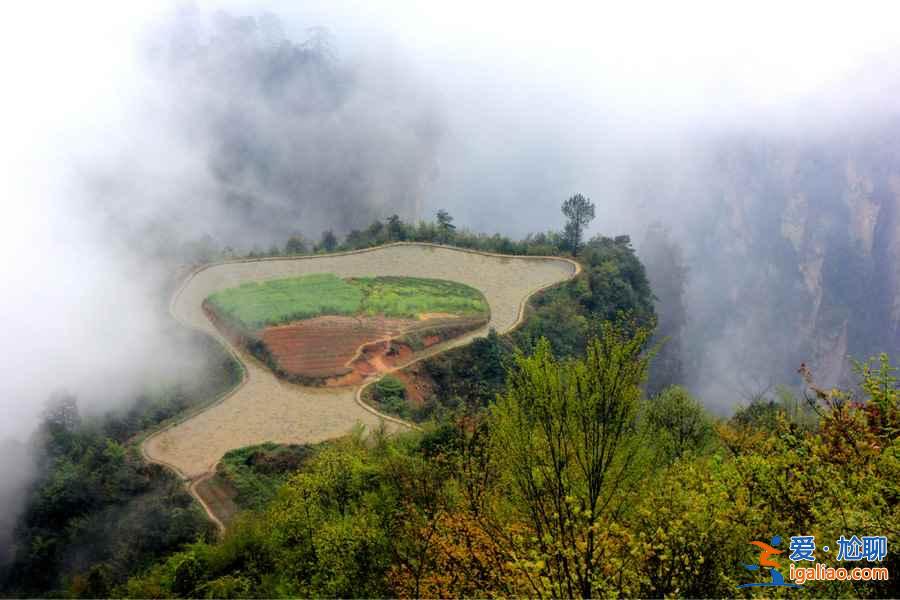 【张家界十一天气】2018张家界十一天气，2018张家界十一天气预测？