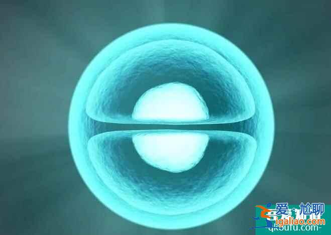 单身女性能否冻卵?前往泰国冻卵是否可行?? 单身女性能否冻卵?前往泰国冻卵是否可行??