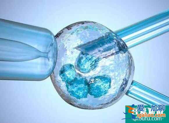 供卵试管婴儿和常规试管婴儿的区别在哪里？需要注意什么？？