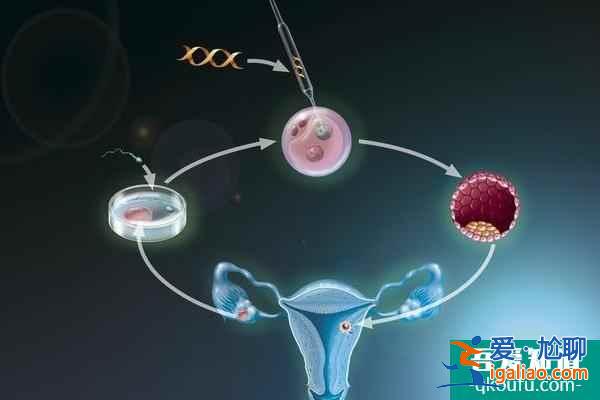 去做试管婴儿：做好赴美前的准备工作和IVF方案制定？