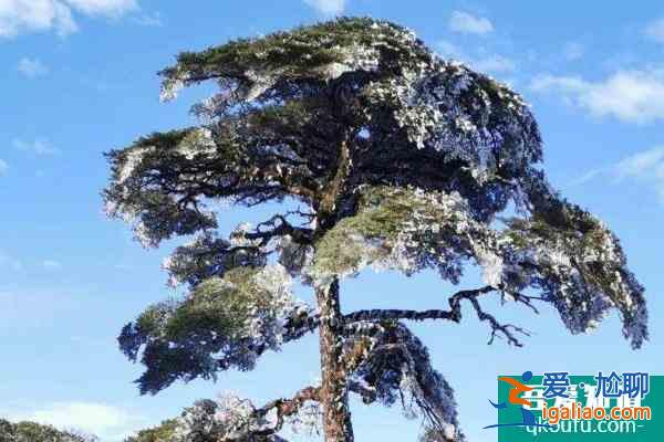 因雨雪天气影响桂林猫儿山景区暂停对外开放？