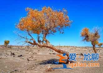 国庆去额济纳人多吗，2018十一额济纳住宿贵吗？