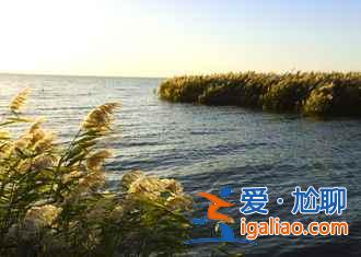 国庆去额济纳人多吗，2018十一额济纳住宿贵吗？