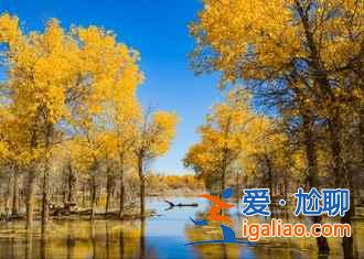国庆去额济纳人多吗，2018十一额济纳住宿贵吗？