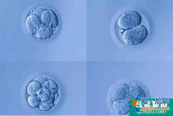 胚胎质量不好怎么改善，如何提高胚胎质量？？