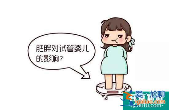 做试管婴儿前的身体调理需要减肥吗？？