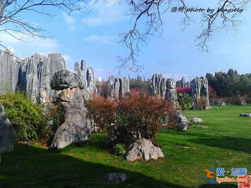 【元旦云南旅游】元旦去云南合适吗，元旦去云南好玩吗？