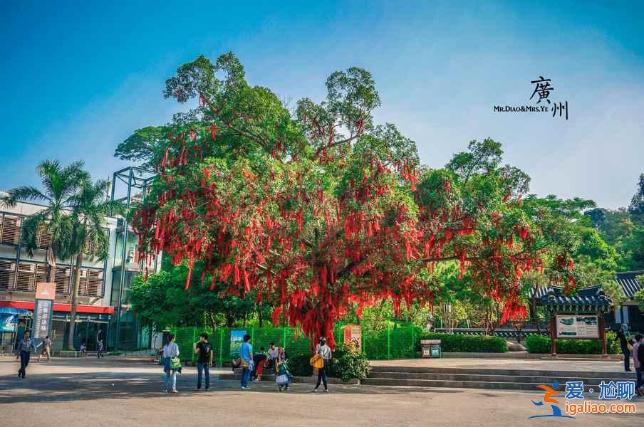 【广州清明节天气】2018广州清明节天气预报,清明节去广州穿什么? 【广州清明节天气】2018广州清明节天气预报,清明节去广州穿什么?