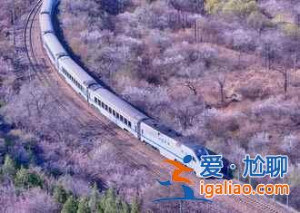 张各庄银杏叶怎么去,2018昌平张各庄银杏叶时间、地点、交通指南? 张各庄银杏叶怎么去,2018昌平张各庄银杏叶时间、地点、交通指南?