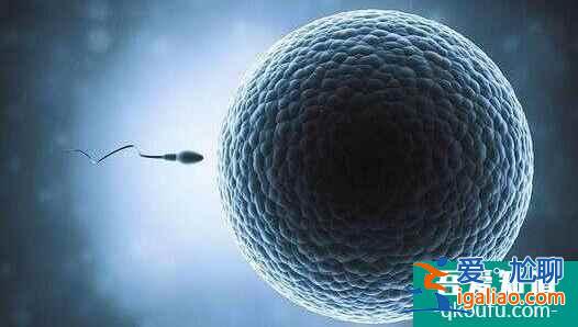 女同性恋拉拉做试管婴儿的步骤是怎样的?真实体验分享!? 女同性恋拉拉做试管婴儿的步骤是怎样的?真实体验分享!?