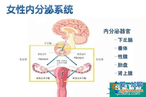 泰国试管婴儿专家：探究引起不孕症的原因与好孕方案？