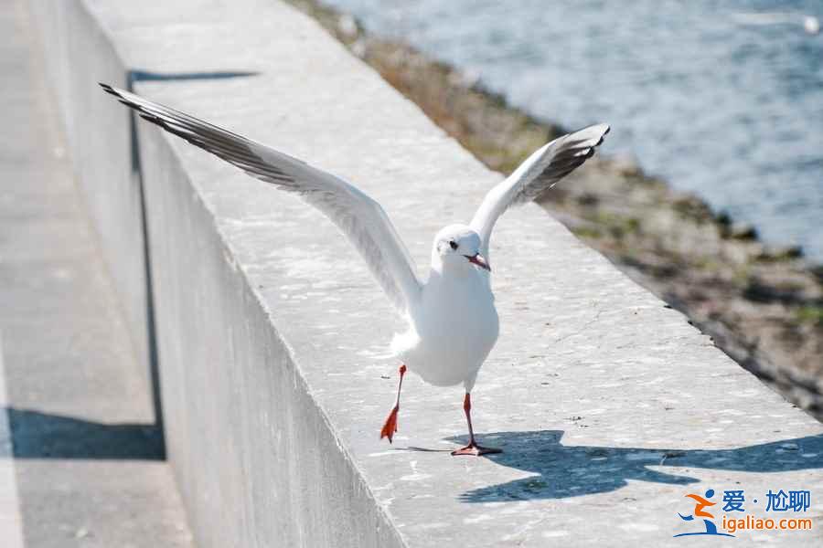 【清明节去昆明】2018清明节去昆明哪里玩,2018清明节去昆明旅游攻略? 【清明节去昆明】2018清明节去昆明哪里玩,2018清明节去昆明旅游攻略?