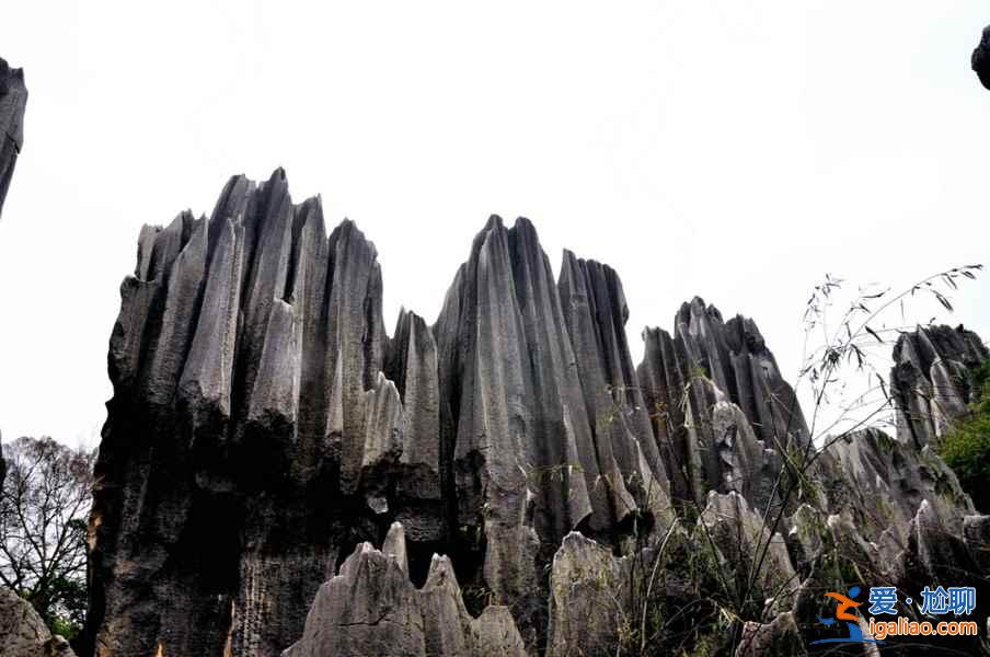 【清明节去昆明】2018清明节去昆明哪里玩,2018清明节去昆明旅游攻略? 【清明节去昆明】2018清明节去昆明哪里玩,2018清明节去昆明旅游攻略?