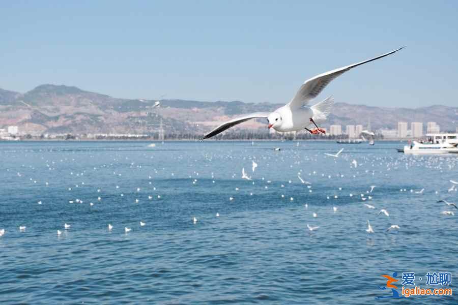 【清明节去昆明】2018清明节去昆明哪里玩,2018清明节去昆明旅游攻略? 【清明节去昆明】2018清明节去昆明哪里玩,2018清明节去昆明旅游攻略?