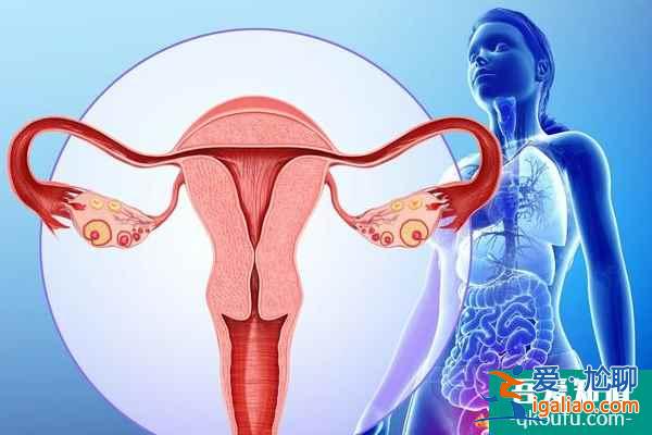 女性幼稚子宫赴美做试管婴儿，好孕方案要根据实际情况而定？