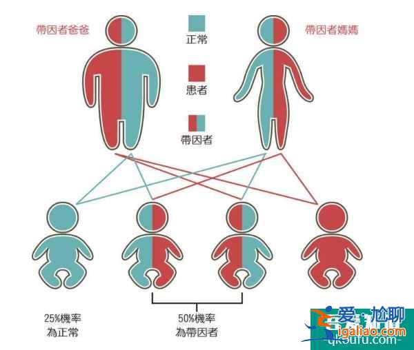 泰国试管婴儿的适用人群有哪些？？