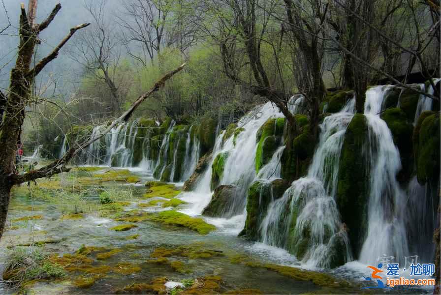 【2018九寨沟清明节天气】清明节去九寨沟怎么样，清明节九寨沟人多吗？
