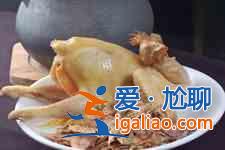 墨鱼炖鸡？
