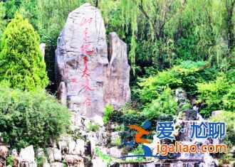 临沂银杏园,最美的秋景? 临沂银杏园,最美的秋景?