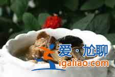 墨鱼炖鸡？