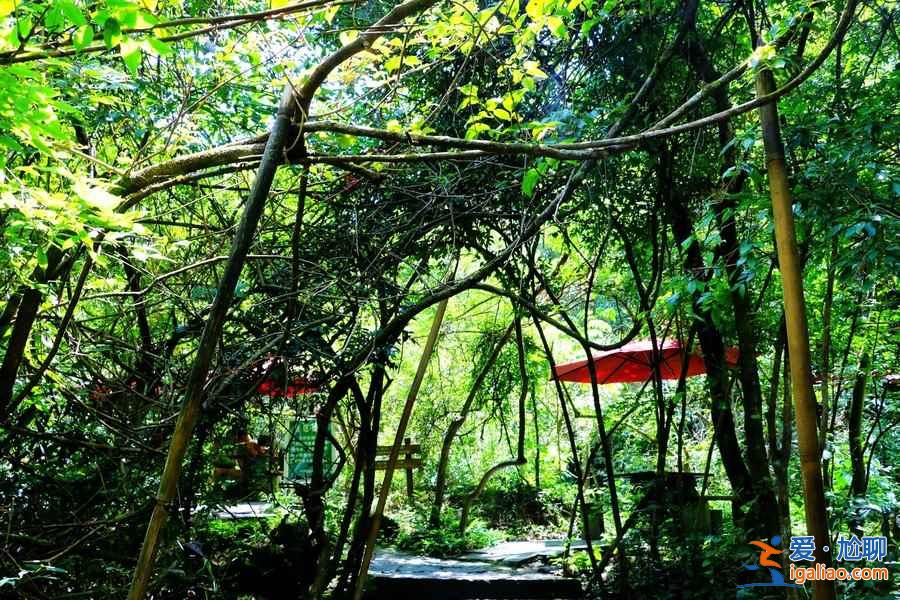 清明小长假去千岛湖怎么玩，清明小长假千岛湖游玩攻略，清明小长假千岛湖游玩路线推荐？