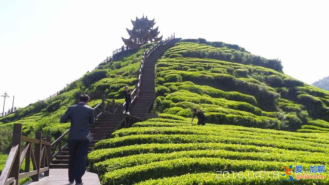 神奇的北纬30°，贯穿了中国著名的9大名茶？