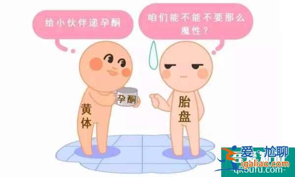 做试管孕酮高了医生就不让移植，来聊聊到底是什么原因！？