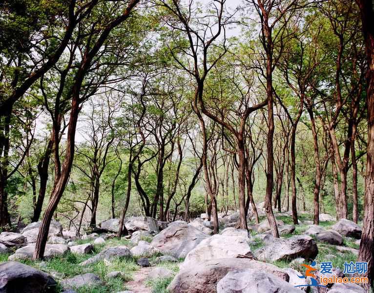 清明节去泰山穿什么，清明节去泰山人多吗？