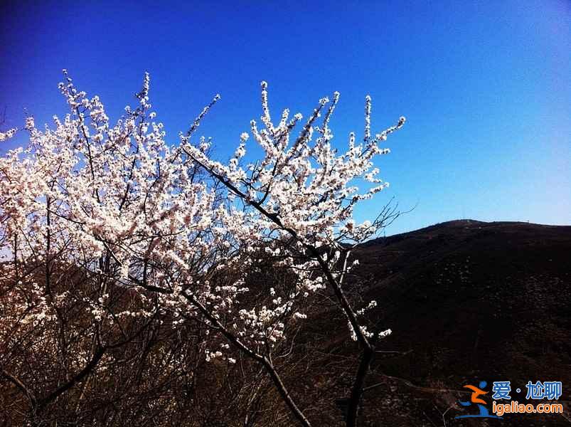 【清明节北京周边游】2018北京清明节去哪里玩，北京清明节周边旅游？