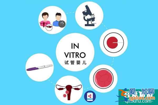 泰国试管婴儿如何预估成功率?专家提供三项参考指标？