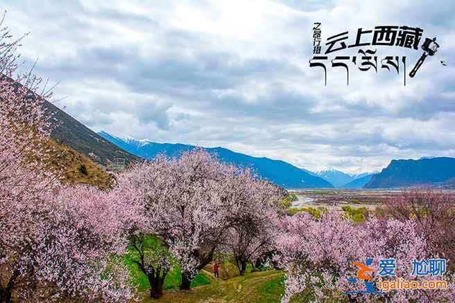 中国最美十大桃花“劫”，人见人爱！？