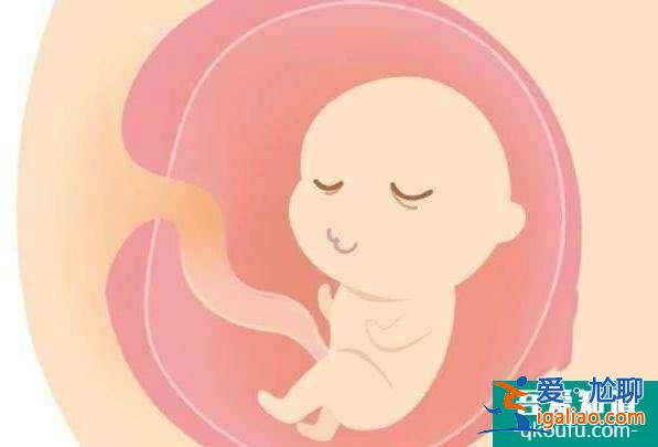 试管婴儿怎样生男孩？能不能选胎儿性别？
