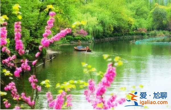 中国最美十大桃花“劫”，人见人爱！？