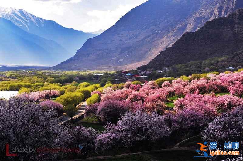 林芝旅游线路，2017林芝桃花几月开？