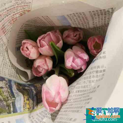 深圳鲜花八卦岭花卉市场太优秀了？