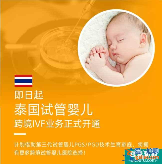 泰国试管婴儿业务启动，欢迎咨询！？