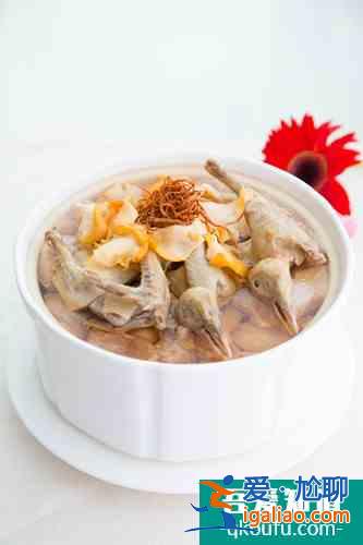 四宝煲老鸽汤 冬季健脾胃兼祛湿？