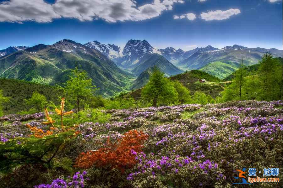 适合情侣的10种旅行体验，你选哪一种？？
