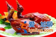 鸽子的做法？