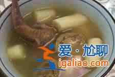 鸽子的做法？