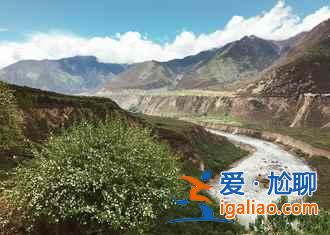 盘点国内最美的桃花胜地，别说我没告诉你！？