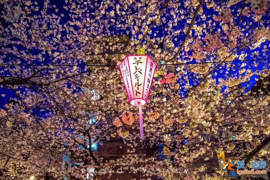 最安全的10个国家，女生独自旅行也不害怕！？